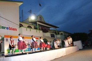 IMG_1584