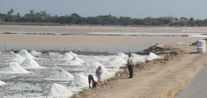 Una familia trabaja en la cosecha de sal Salinas del Marqués, Salina Cruz, Oax. Foto: @jesusmoraleshoy