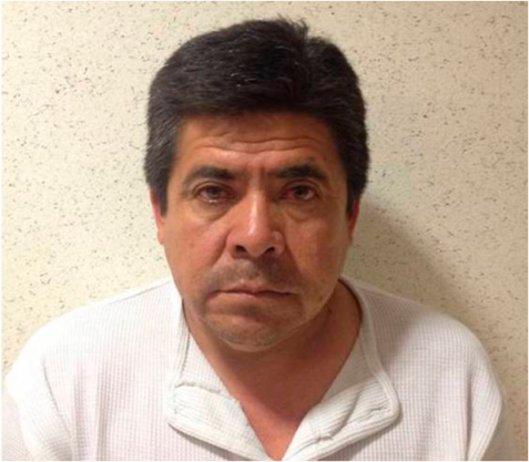 FRANCISCO ALFREDO MEDINA VASQUEZ, (a) “ELBICHE”