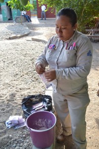 29MZO16-INTENSIFICA SSO ACCIONES CONTRA ZIKA, DENGUE Y CHIKUNGUNYA