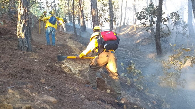 Controlan incendio