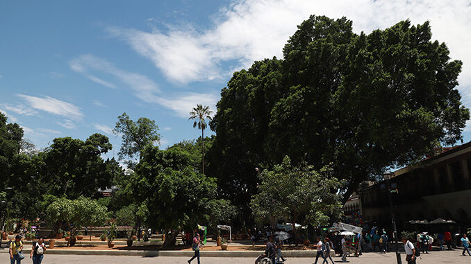 Tromenta tropical Oaxaca