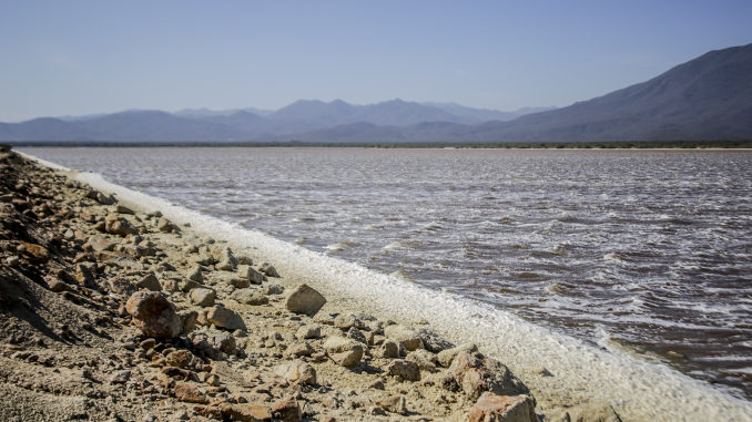 PEMEX contaminó mantos de sal en Salina Cruz Oaxaca Pag web 08