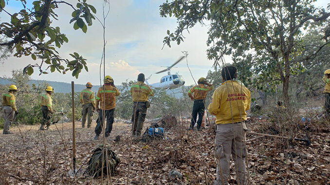 Cero incendios