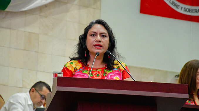 Irma Pineda Diputada